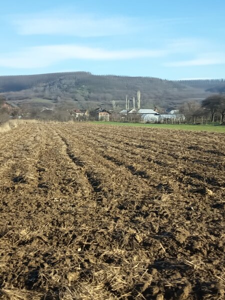 Topoloveni, judetul Arges