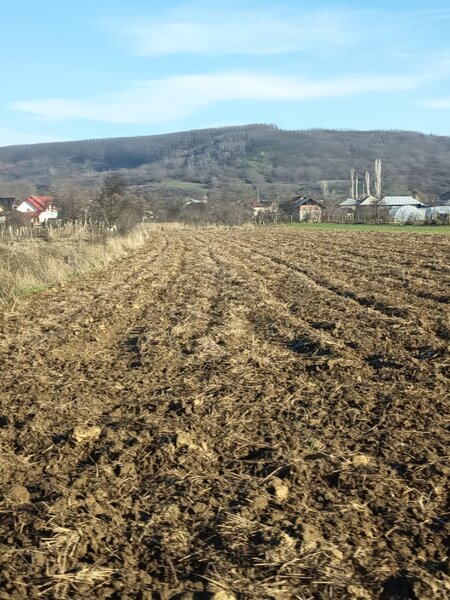 Topoloveni, judetul Arges