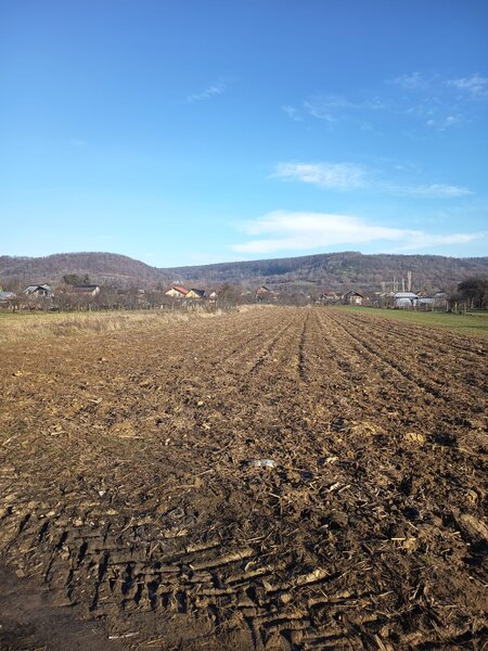 Topoloveni, judetul Arges