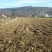Topoloveni, judetul Arges